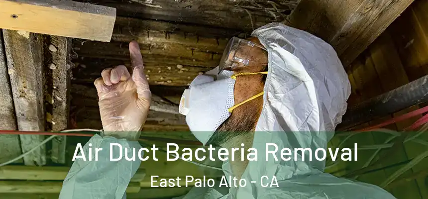 Air Duct Bacteria Removal East Palo Alto - CA