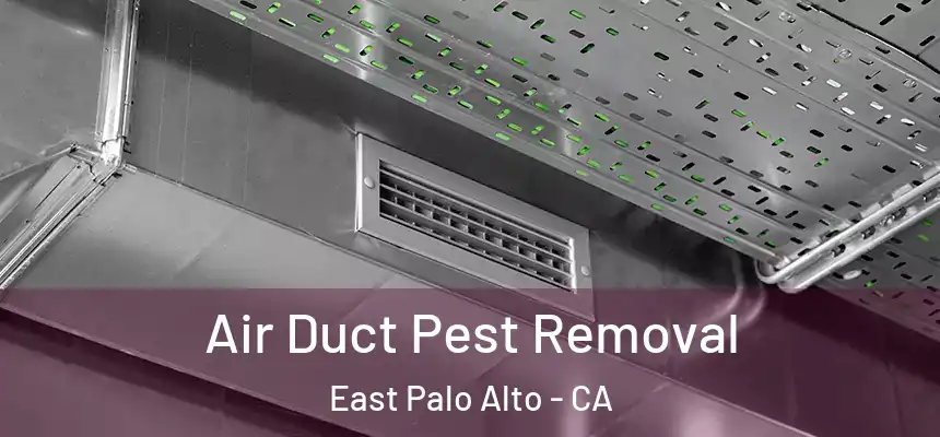  Air Duct Pest Removal East Palo Alto - CA