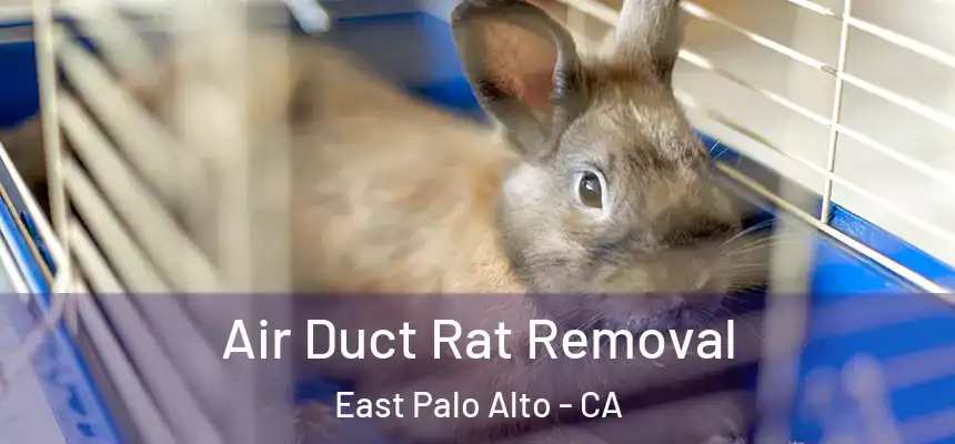  Air Duct Rat Removal East Palo Alto - CA