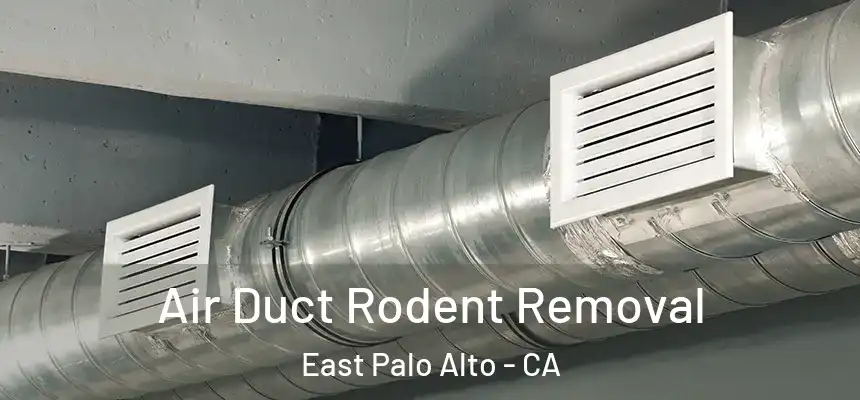  Air Duct Rodent Removal East Palo Alto - CA