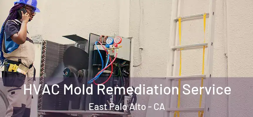  HVAC Mold Remediation Service East Palo Alto - CA