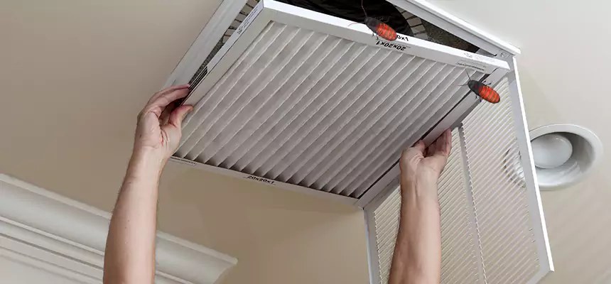 Preventive Cockroach-Proofing for Ducts in East Palo Alto