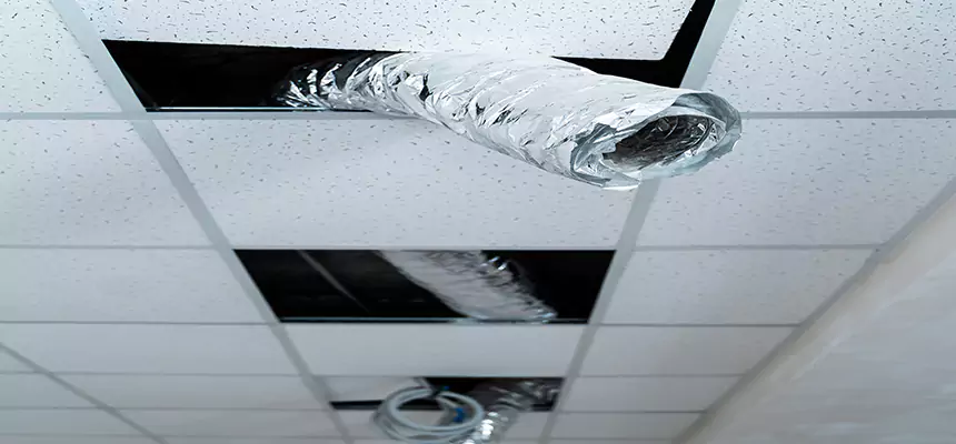 Our Air Duct Pet Hair Removal Services in East Palo Alto, CA