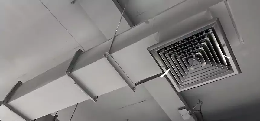 Our Rodent Droppings In Vents Services in East Palo Alto, CA