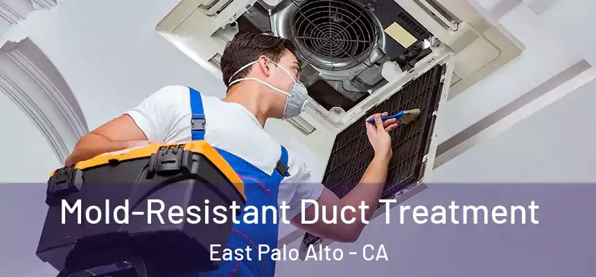  Mold-Resistant Duct Treatment East Palo Alto - CA