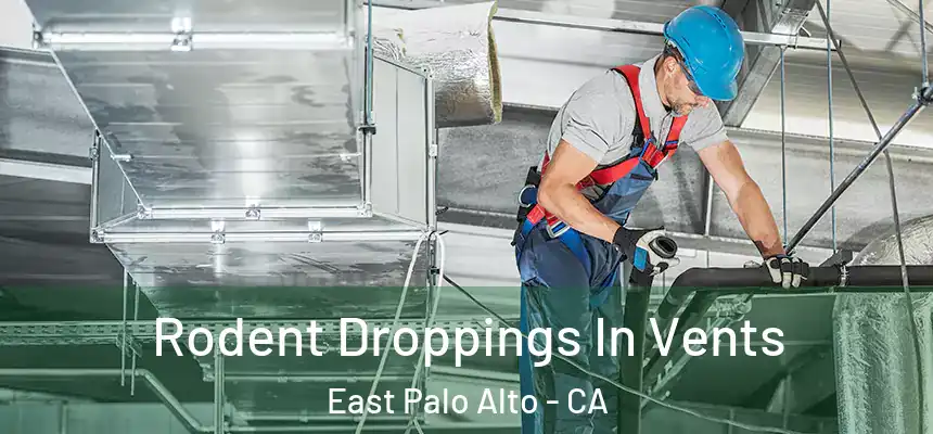  Rodent Droppings In Vents East Palo Alto - CA
