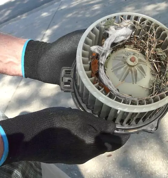 About Air Duct Rat Removal in East Palo Alto, CA