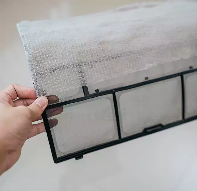 Why Homeowners & Businesses Trust Us in East Palo Alto, CA?